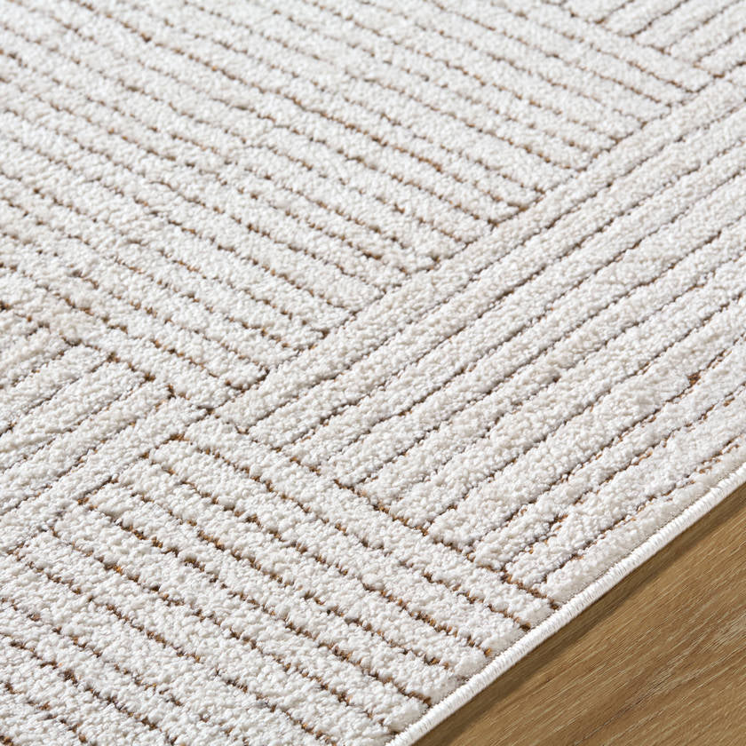 Architect Modern Ivory/Dark Brown Area Rug - Galey Alix Livabliss