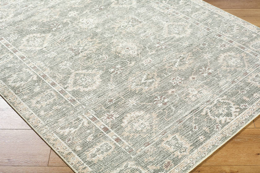 Collins Avenue Traditional Dusty Sage Area Rug - Galey Alix Livabliss