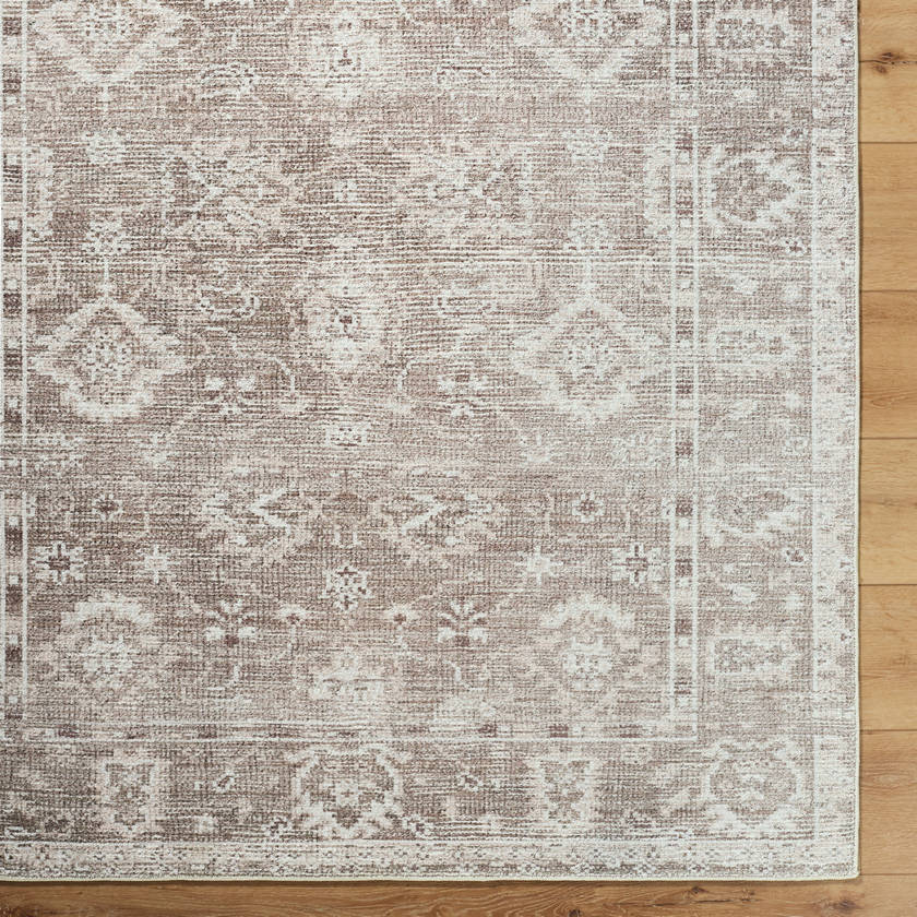 Collins Avenue Traditional Brown Area Rug - Galey Alix Livabliss
