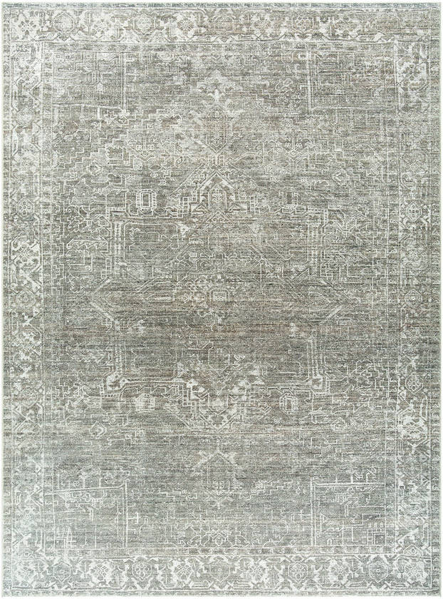 Collins Avenue Traditional Olive Area Rug - Galey Alix Livabliss