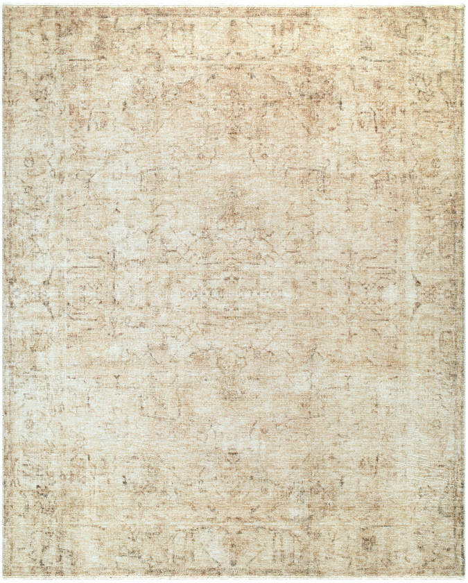 Fetscher Traditional Light Beige/Light Brown Area Rug - Galey Alix Livabliss