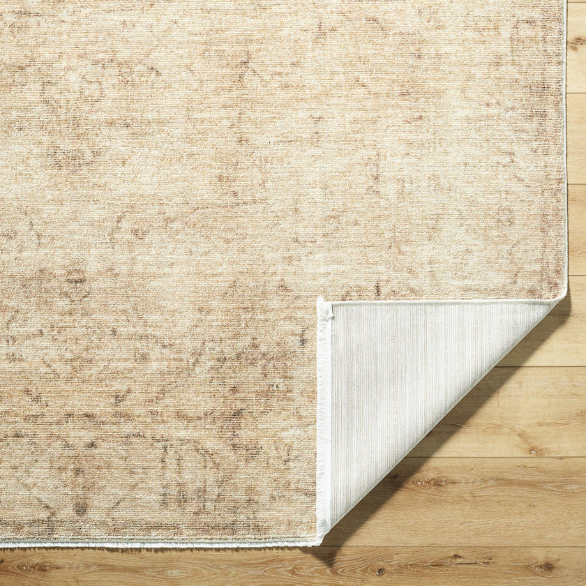 Fetscher Traditional Light Beige/Light Brown Area Rug - Galey Alix Livabliss