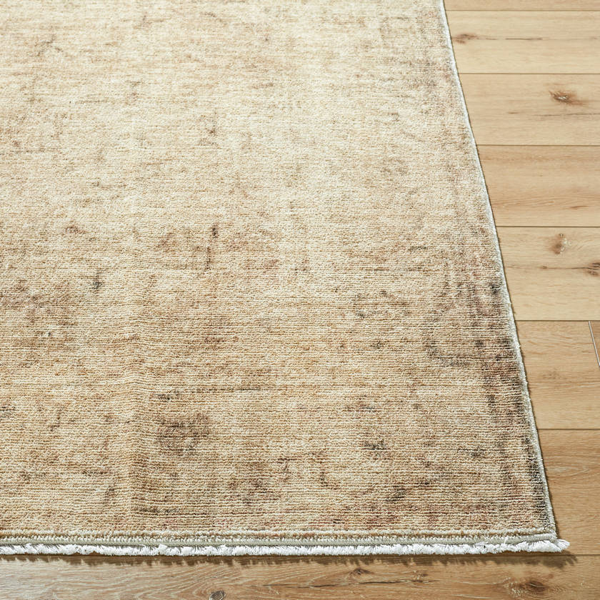 Fetscher Traditional Light Beige/Light Brown Area Rug - Galey Alix Livabliss