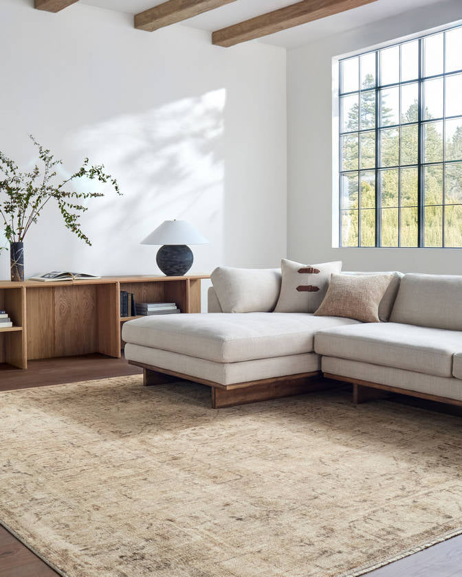 Fetscher Traditional Light Beige/Light Brown Area Rug - Galey Alix Livabliss