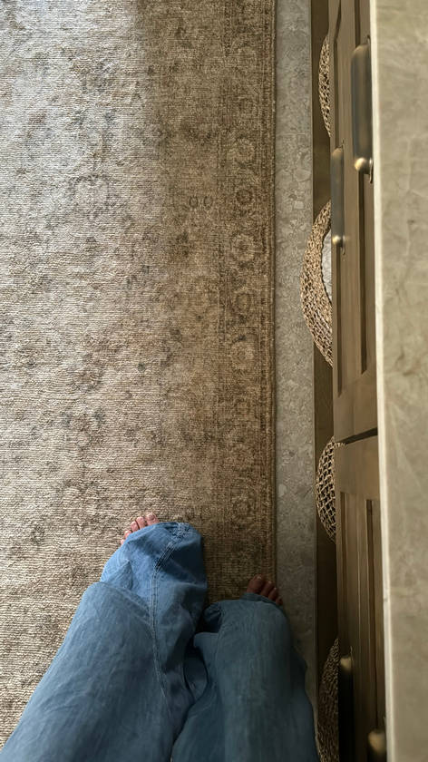 Fetscher Traditional Light Beige Area Rug - Galey Alix Livabliss