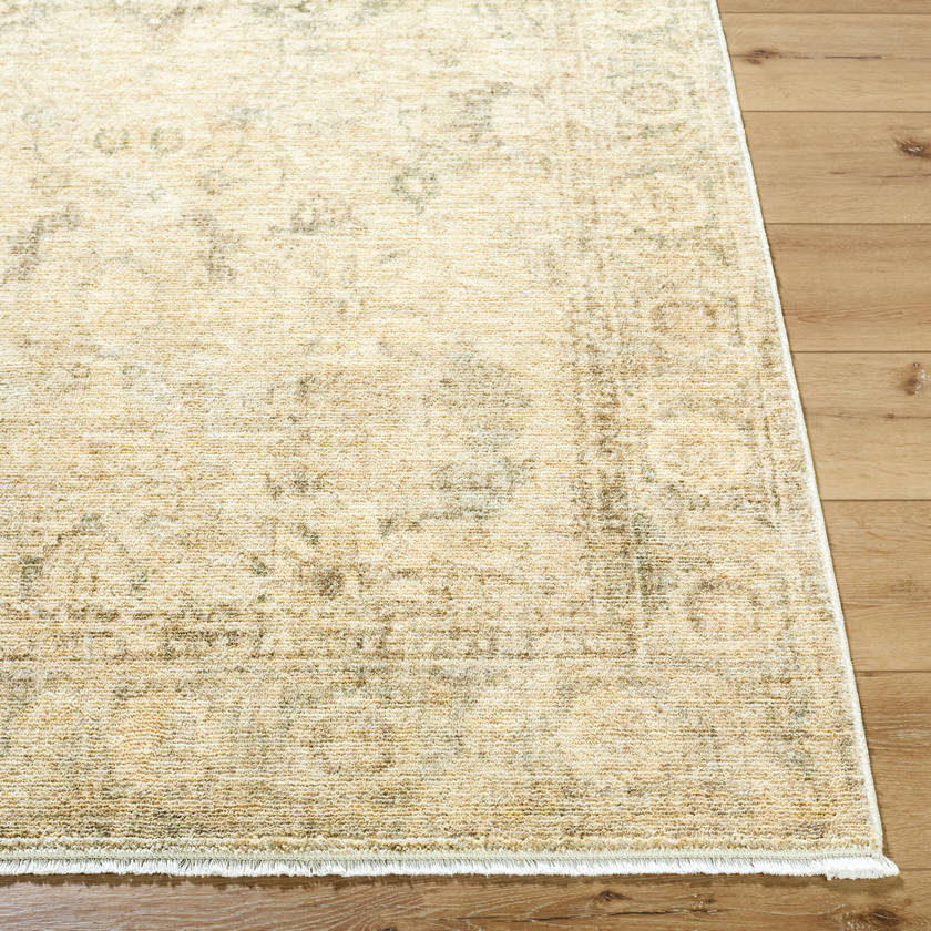 Fetscher Traditional Light Beige Area Rug - Galey Alix Livabliss