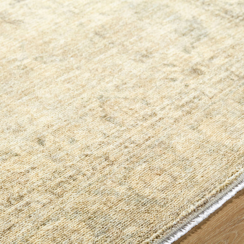 Fetscher Traditional Light Beige Area Rug - Galey Alix Livabliss