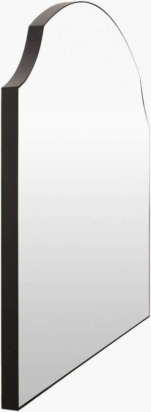 Landon Traditional Black Wall Mirror - Galey Alix x Livabliss