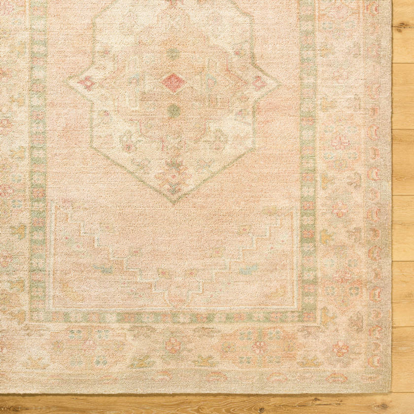 Luciana Traditional Sage/Blush Area Rug - Galey Alix Livabliss
