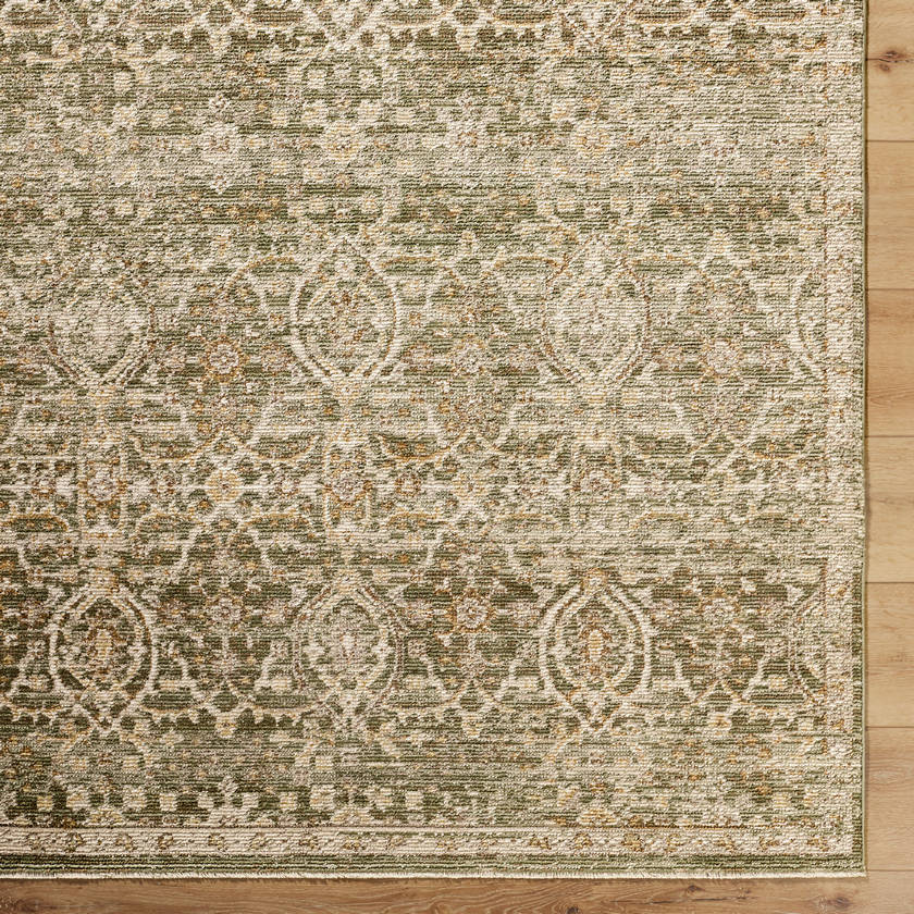 Myrtle Avenue Traditional Olive/Medium Brown Area Rug - Galey Alix Livabliss