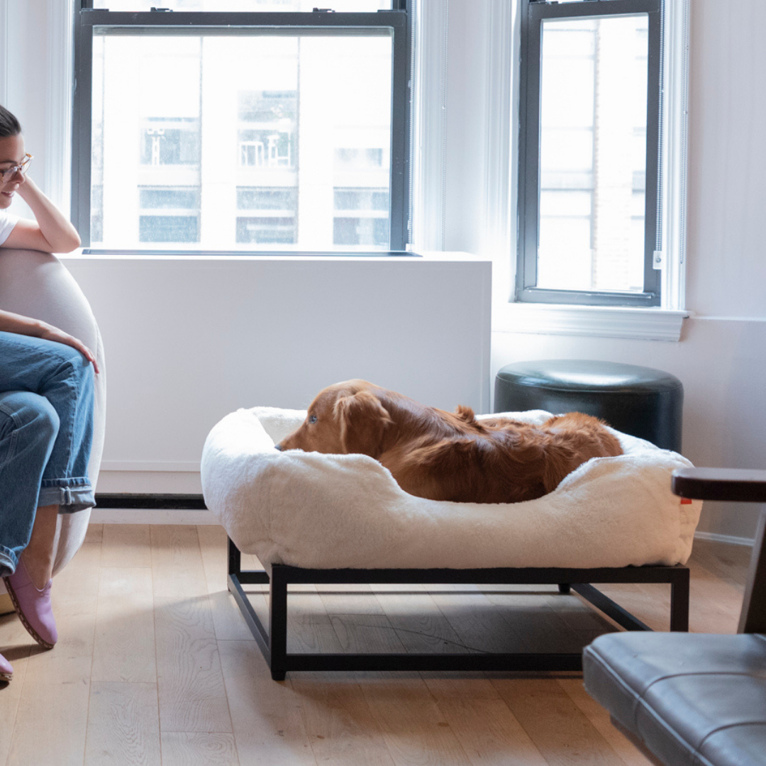 The FÜZI Elevated Dog Bed