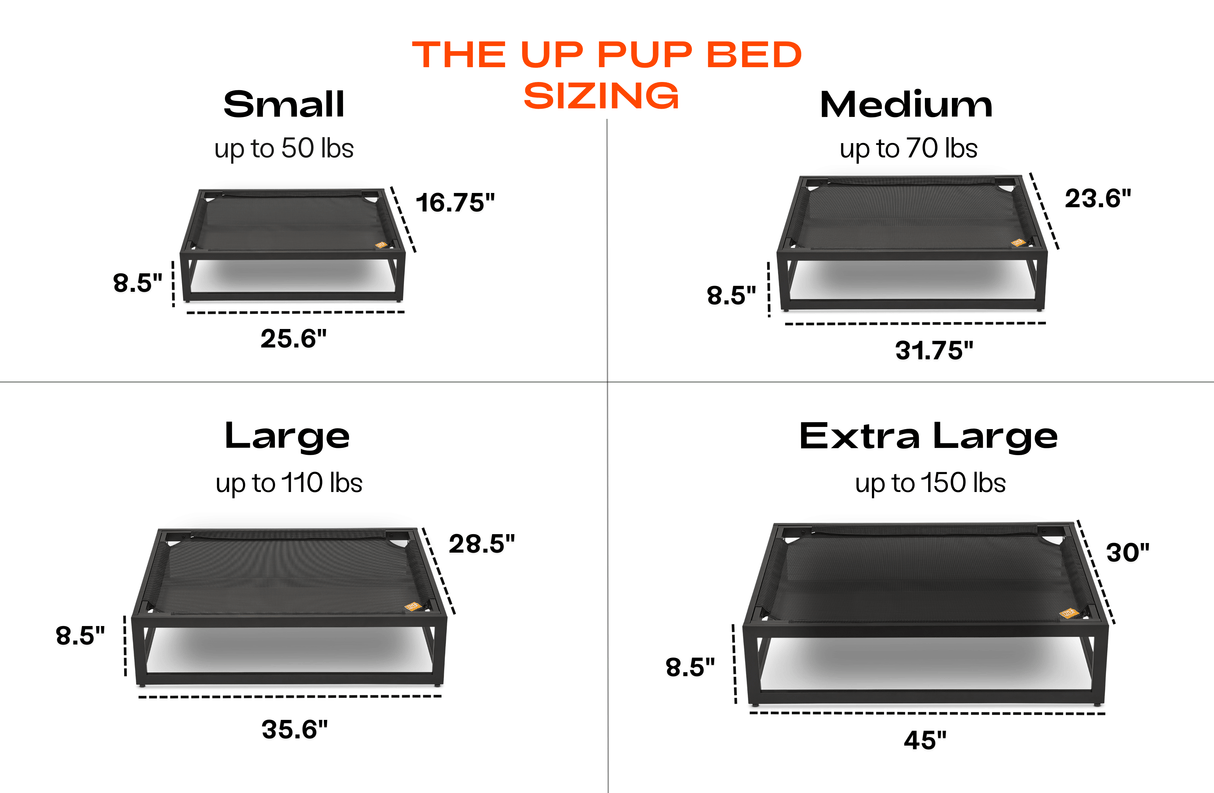 The Up Pup Raised Dog Bed