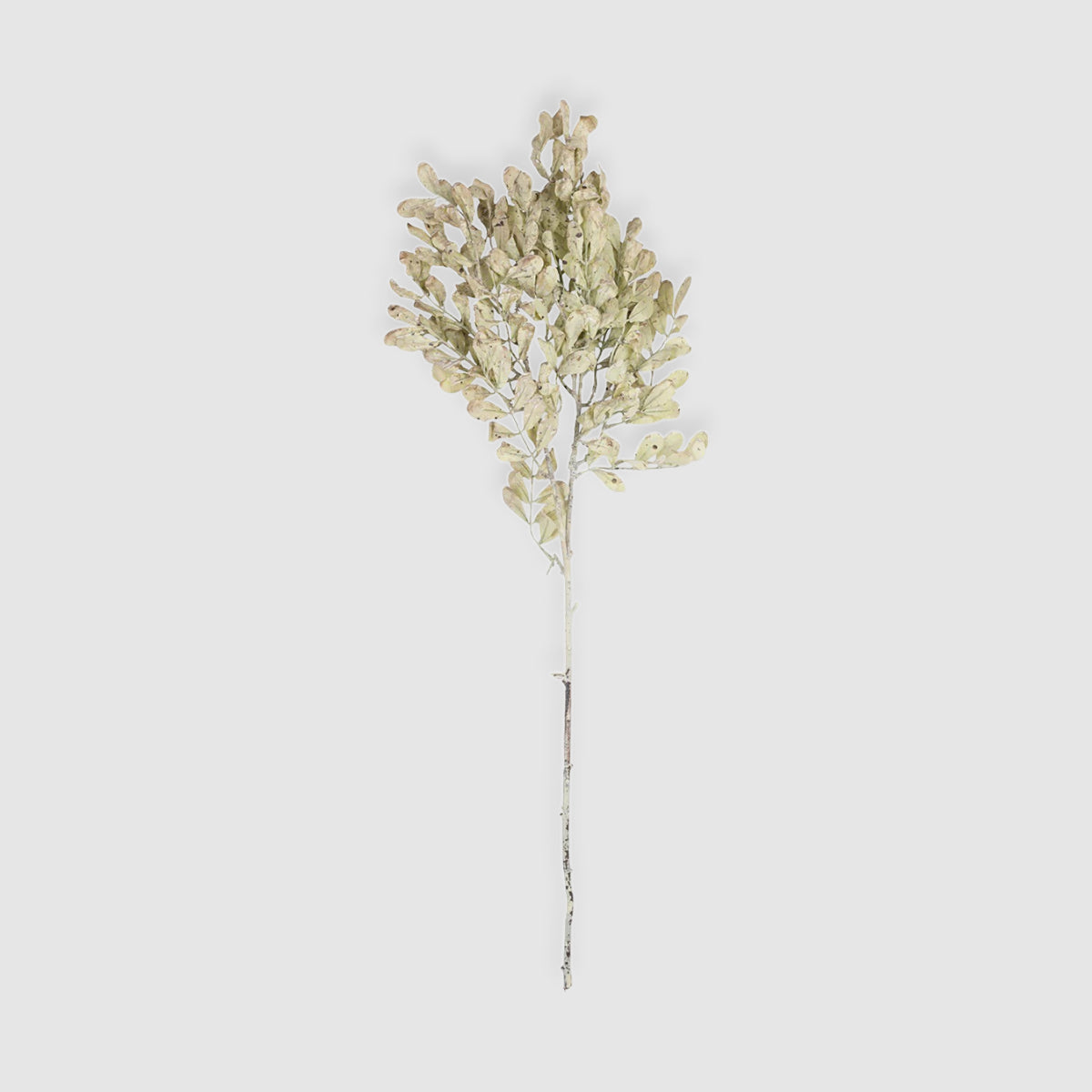 Faux Eucalyptus Cream Stem