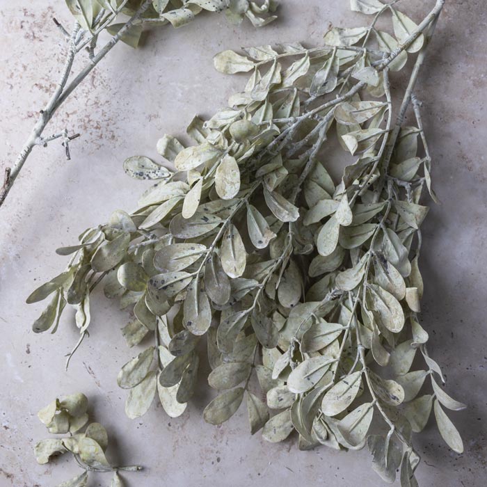 Faux Eucalyptus Cream Stem