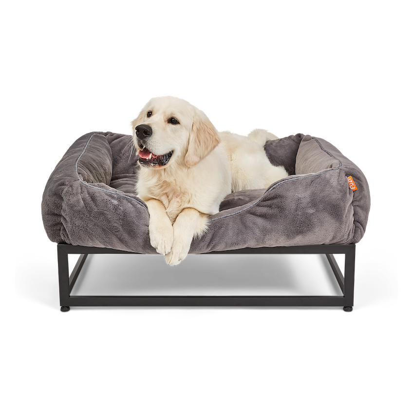 The FÜZI Elevated Dog Bed