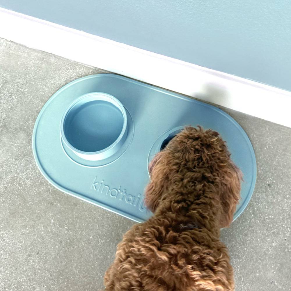 Portable & Travel Dog Bowl