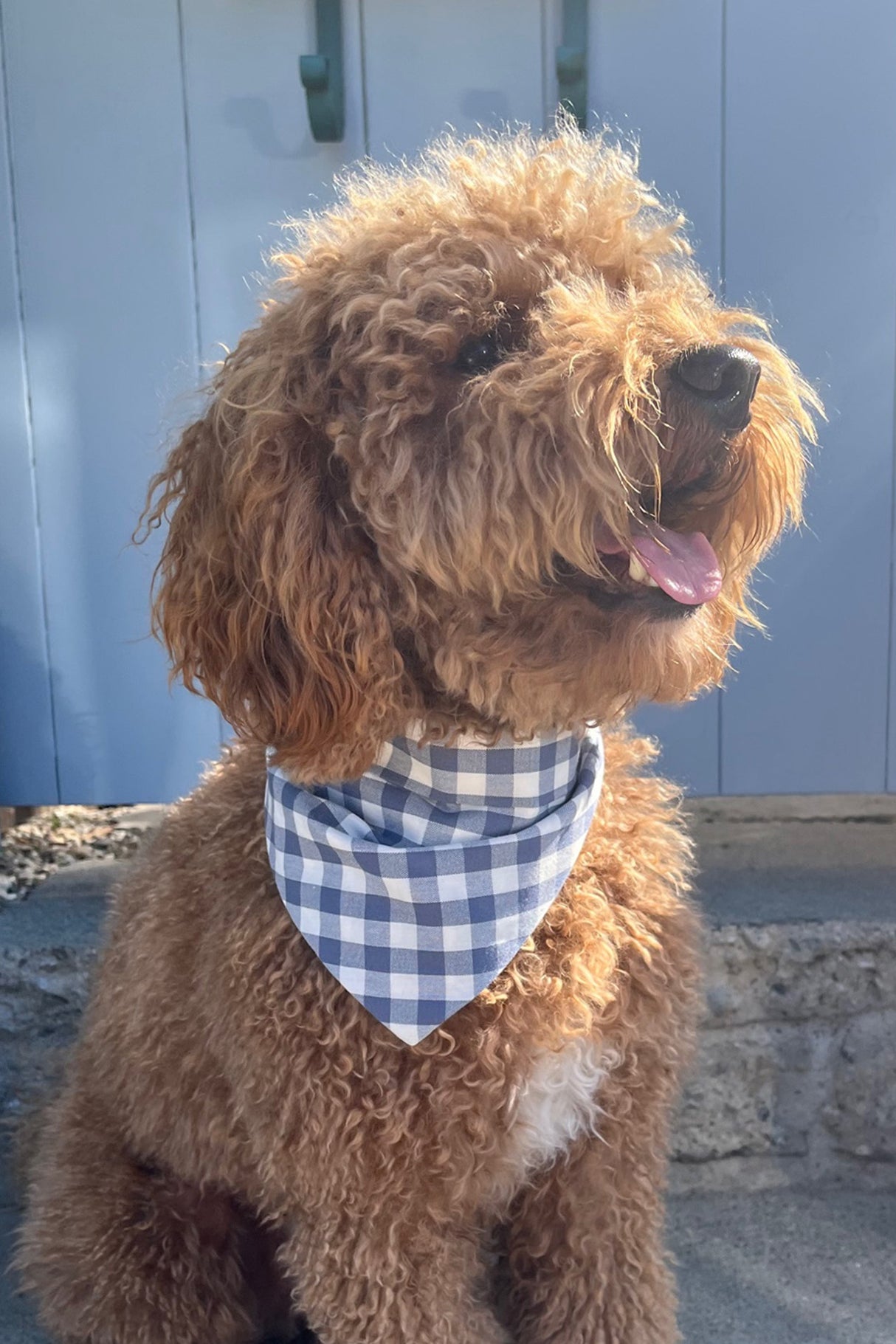 GINGHAM BANDANA