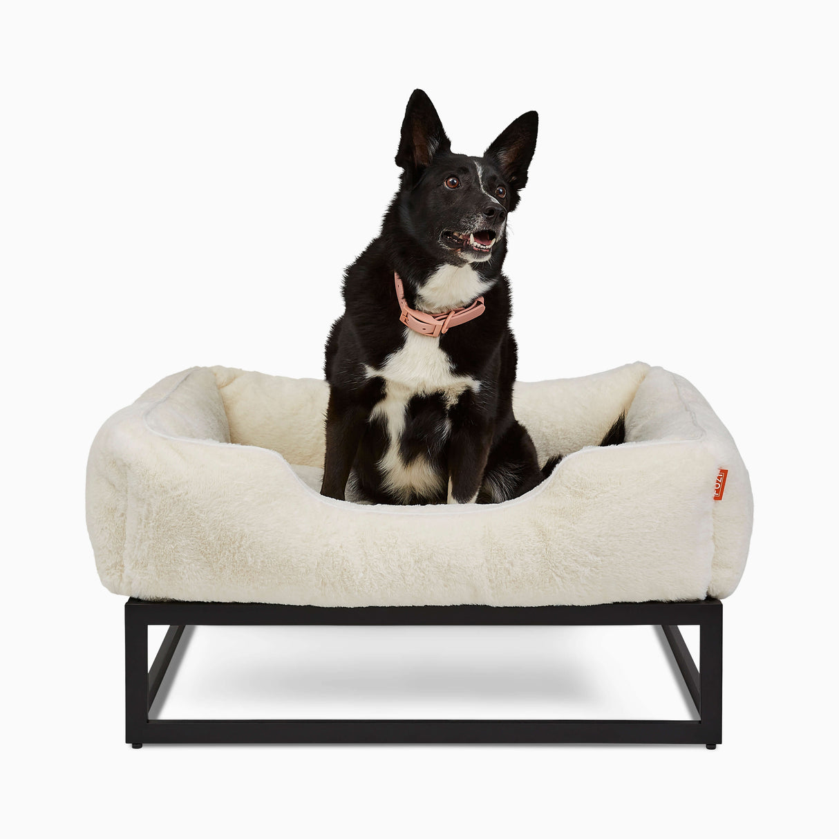 The FÜZI Elevated Dog Bed