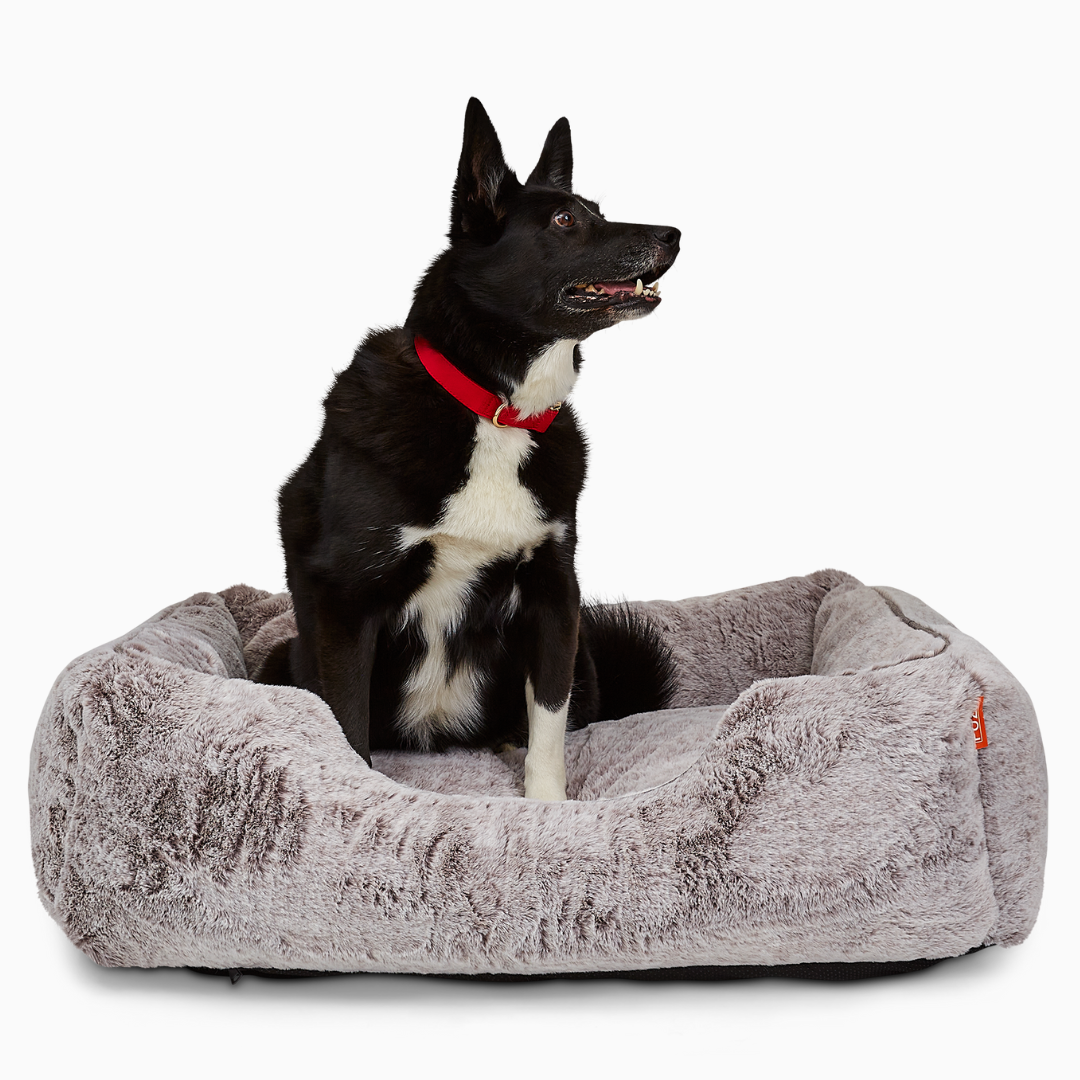 The Sammy Bolster Dog Bed