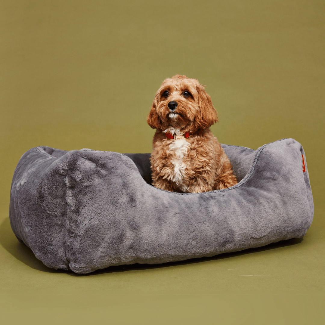 The Sammy Bolster Dog Bed