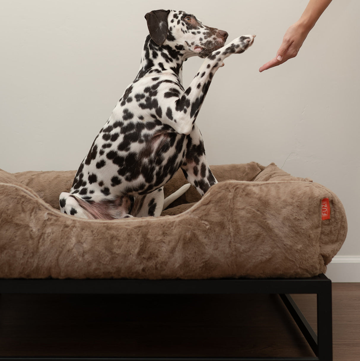 The FÜZI Elevated Dog Bed