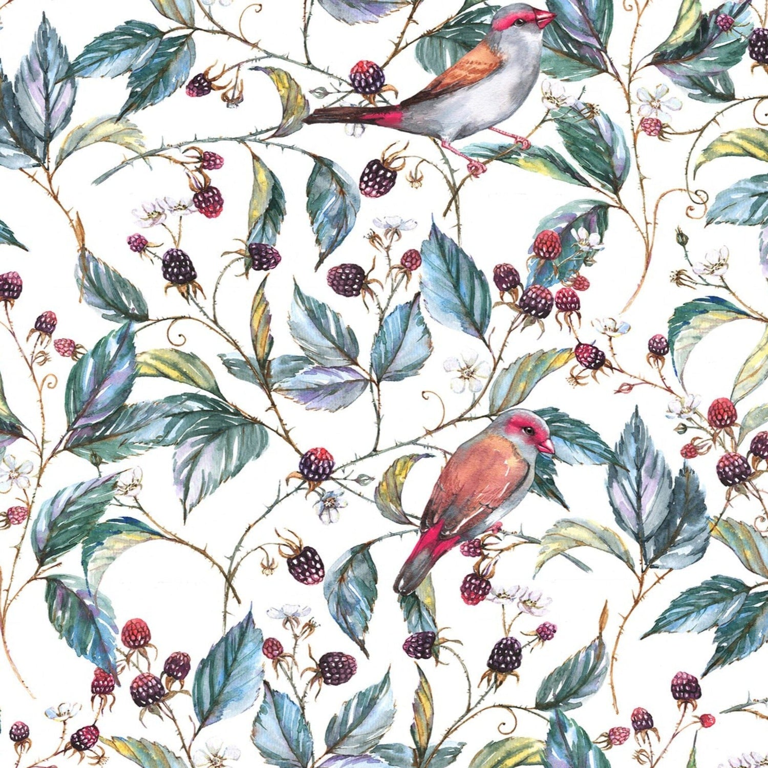 Birds and Red Berry Wallpaper