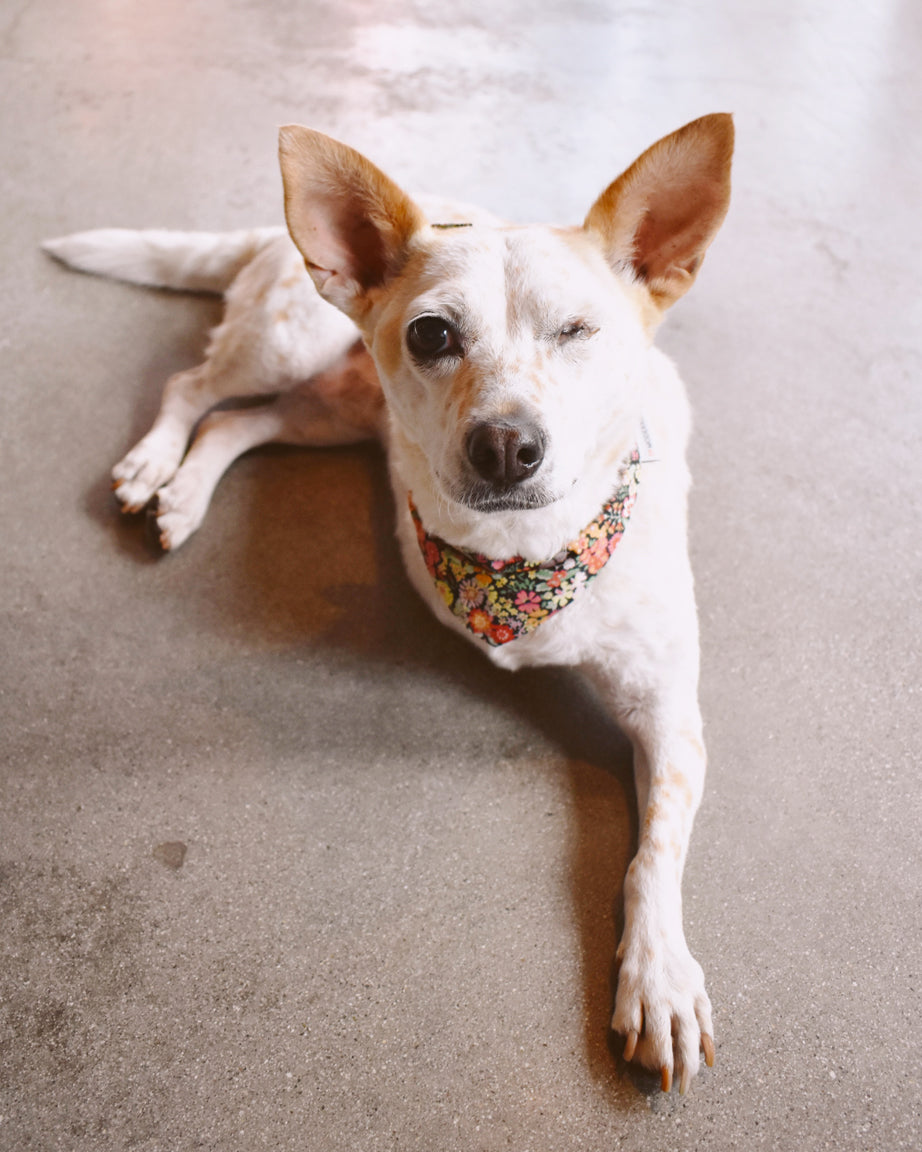 FLORAL BANDANA