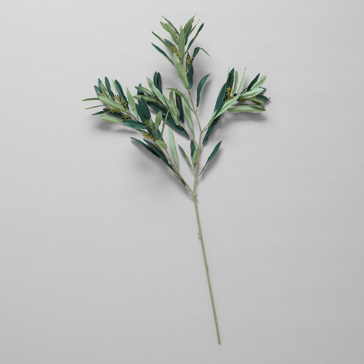 EcoFaux Arbequina Olive Spray