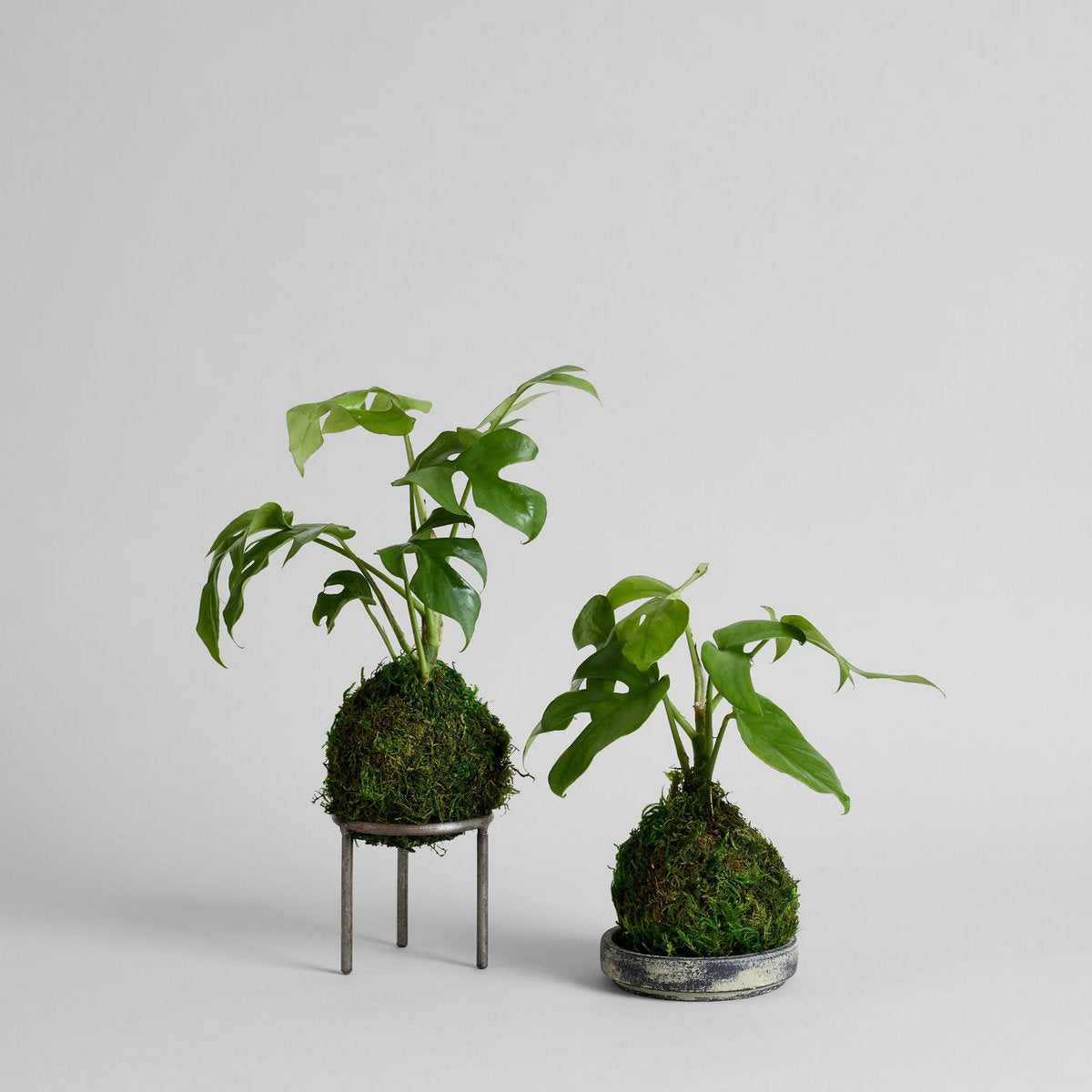 Wrought Iron Planter Stand