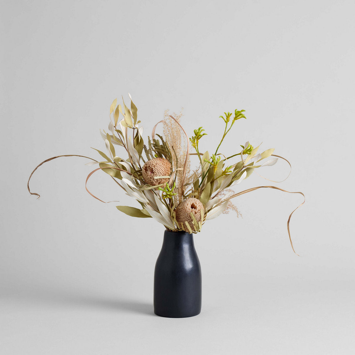 Set of Three Dried Natural Banksia