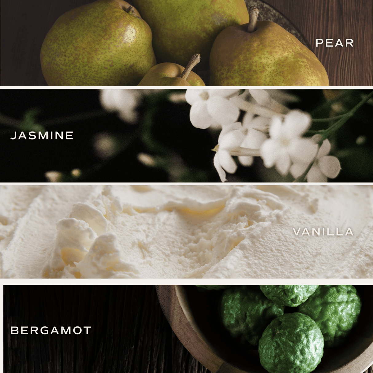 Cashmere and Vanilla Clear Reed Diffuser