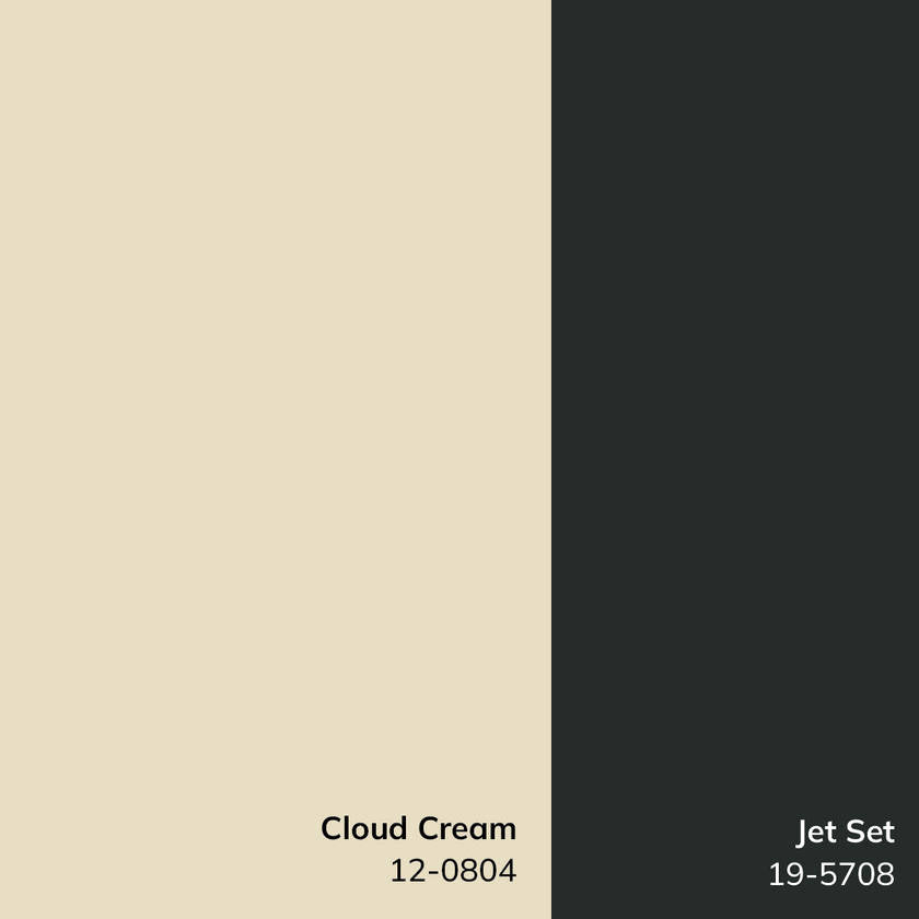 Architect Modern Ivory Area Rug - Galey Alix Livabliss