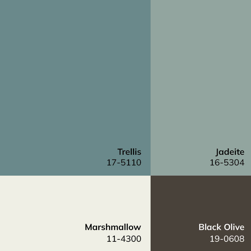 Maria Elena Traditional Dusty Sage Area Rug - Galey Alix Livabliss