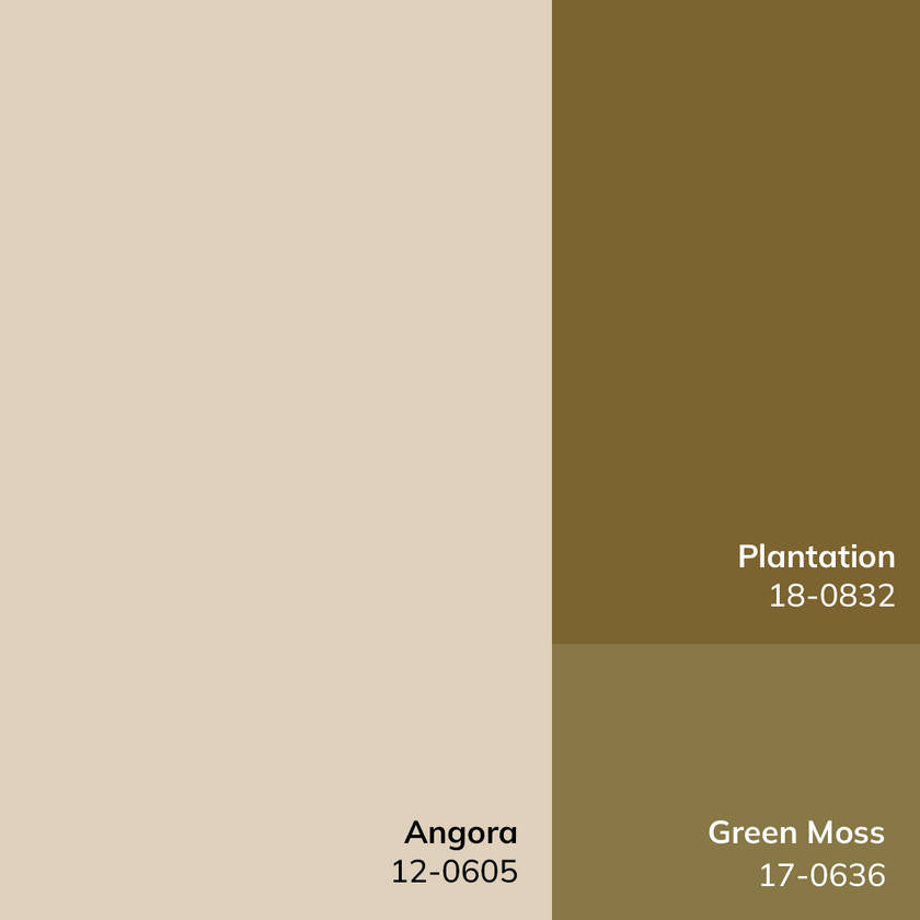 Fetscher Traditional Light Beige Area Rug - Galey Alix Livabliss