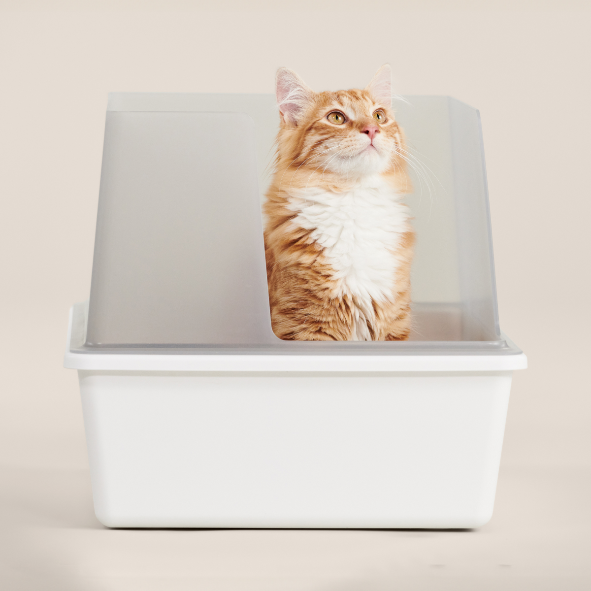 Cubby Litter Box
