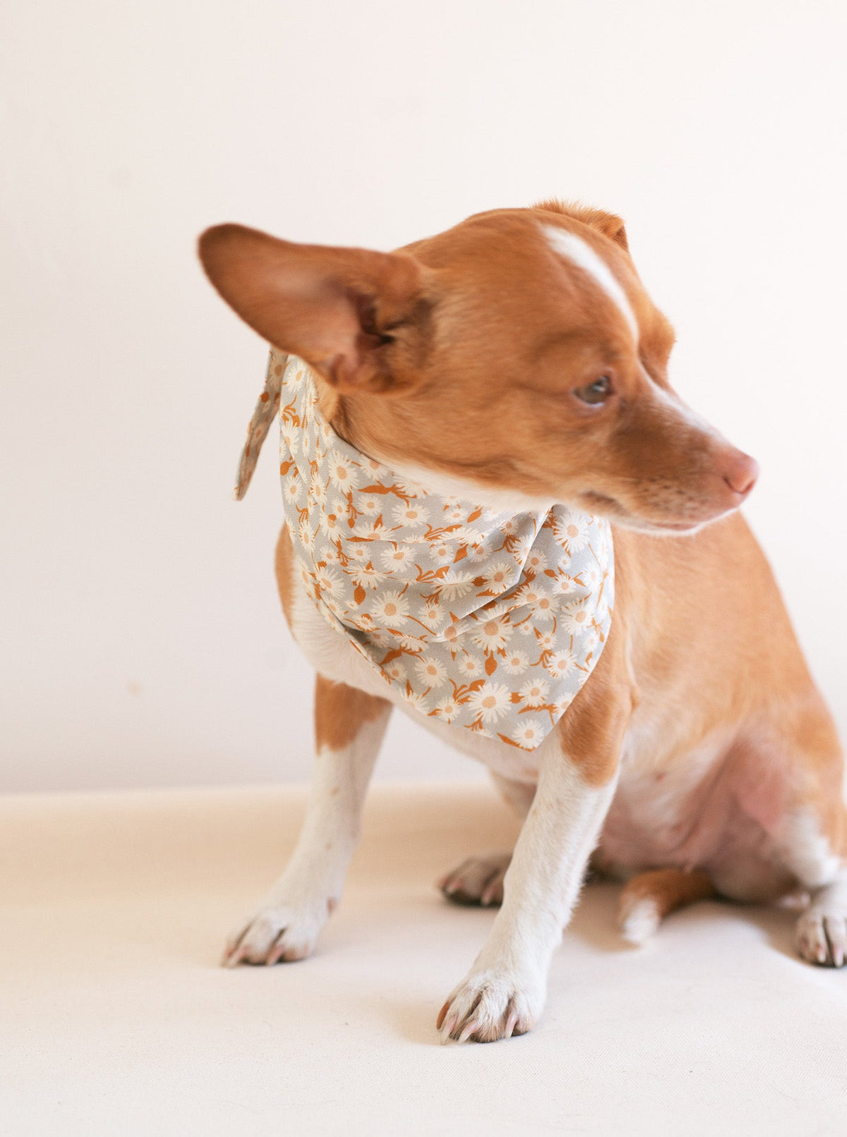 FLORAL BANDANA