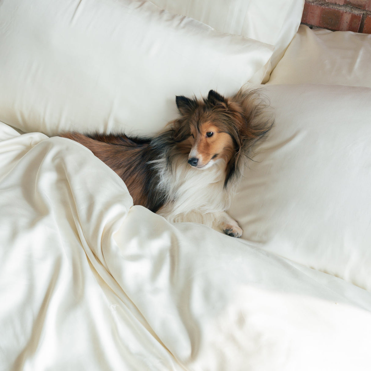 Organic Bamboo Sateen Bed Sheet Set