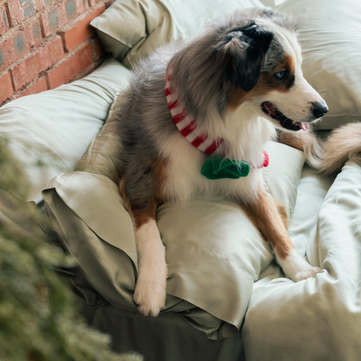 Organic Bamboo Sateen Duvet Cover Set