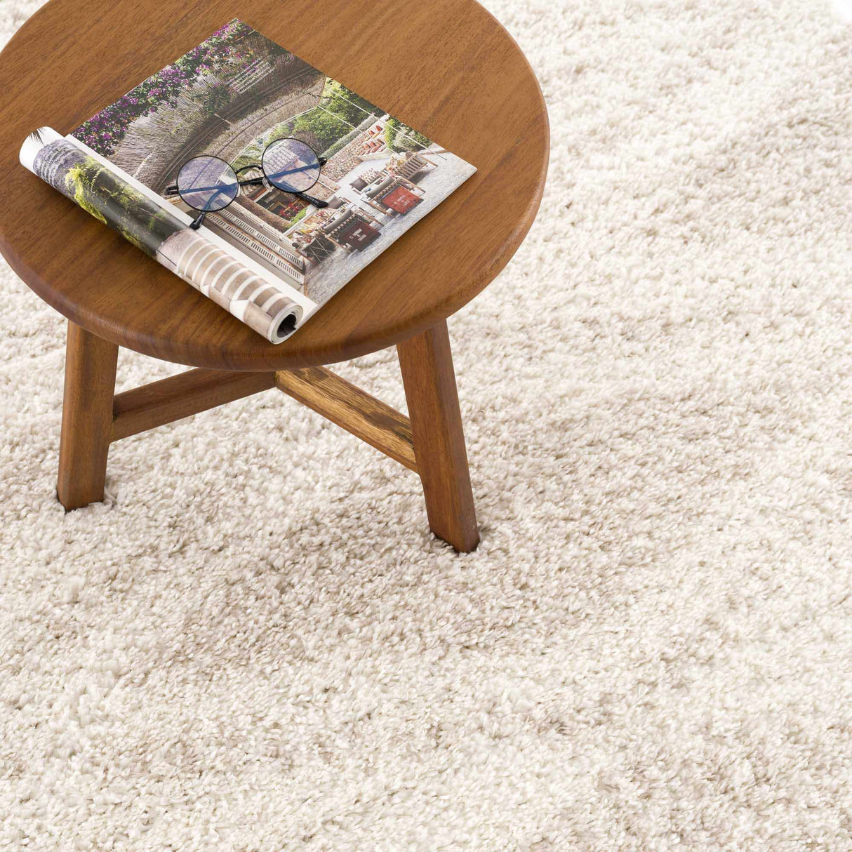 Trunding Plush Area Rug in Light Beige