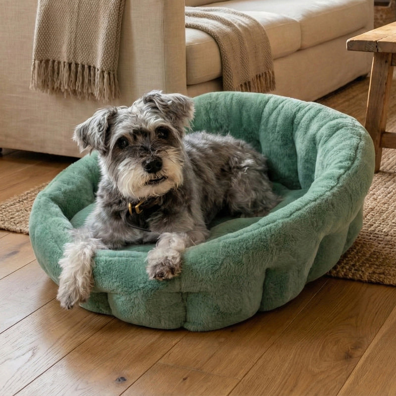 Calming Lounger Dog Bed