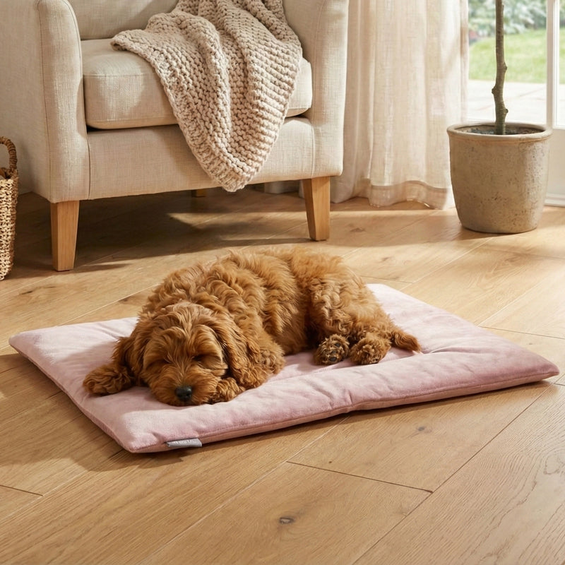 PAWD Crate Pad & Dog bed