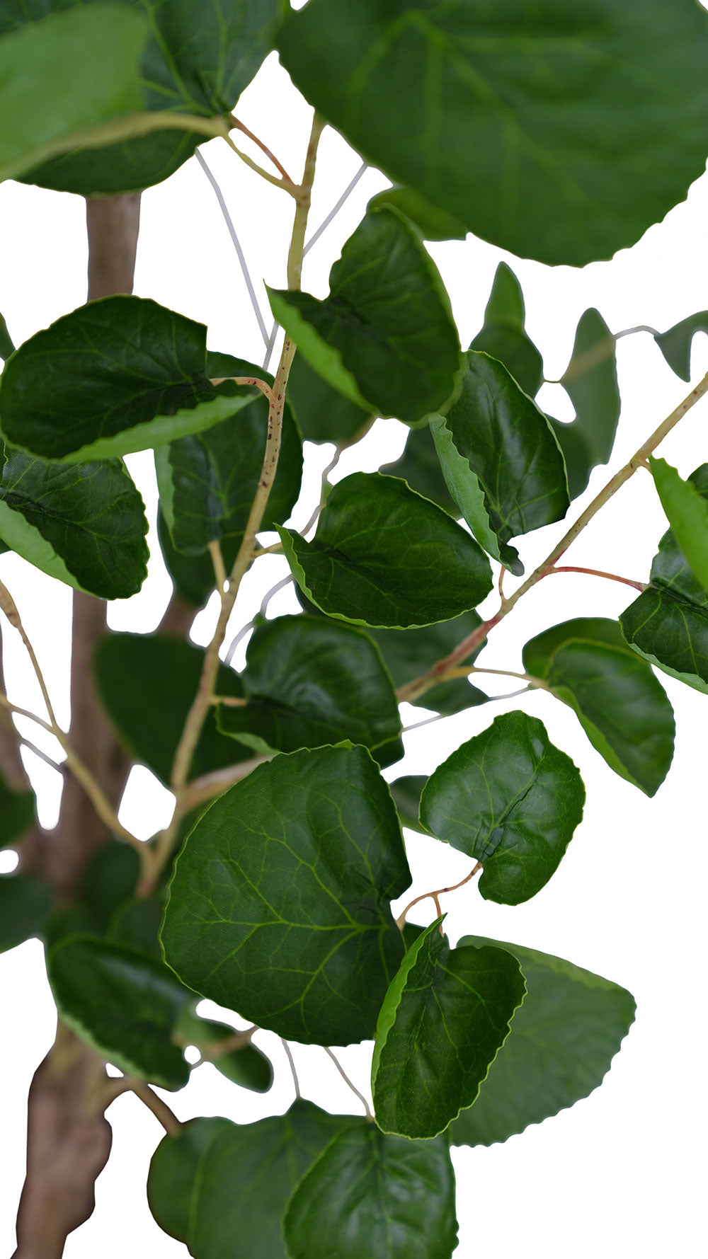 4' Faux Potted Eucalyptus Tree