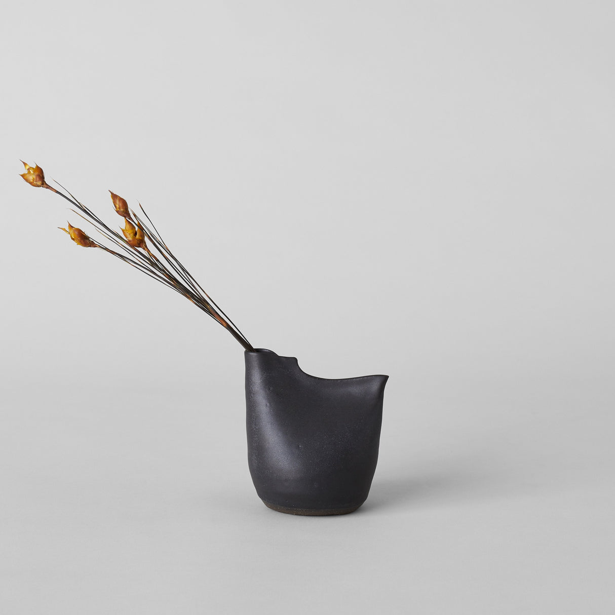 Bird Vase, Black