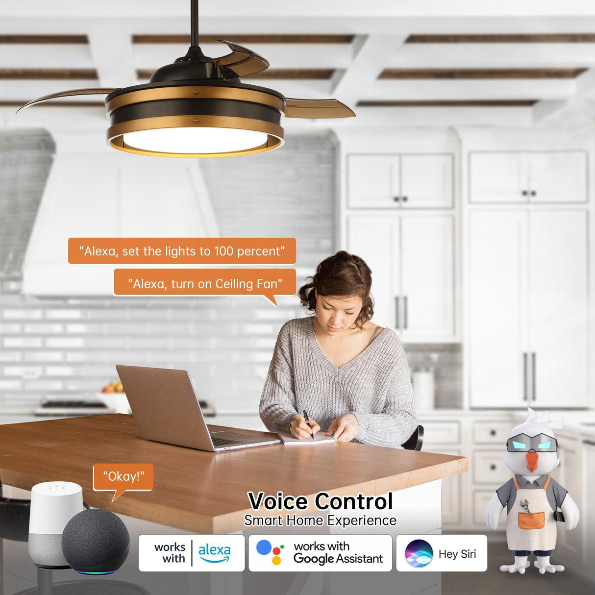 52" Mayna Smart Fan With Led Light