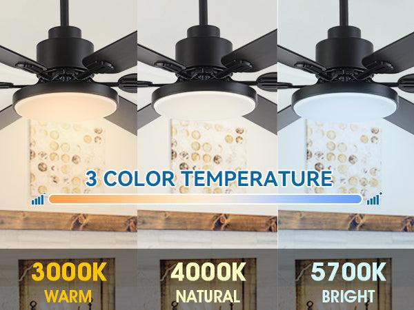 60" Modern DC Motor Downrod Mount Ceiling Fan With Lighting And Remote Control