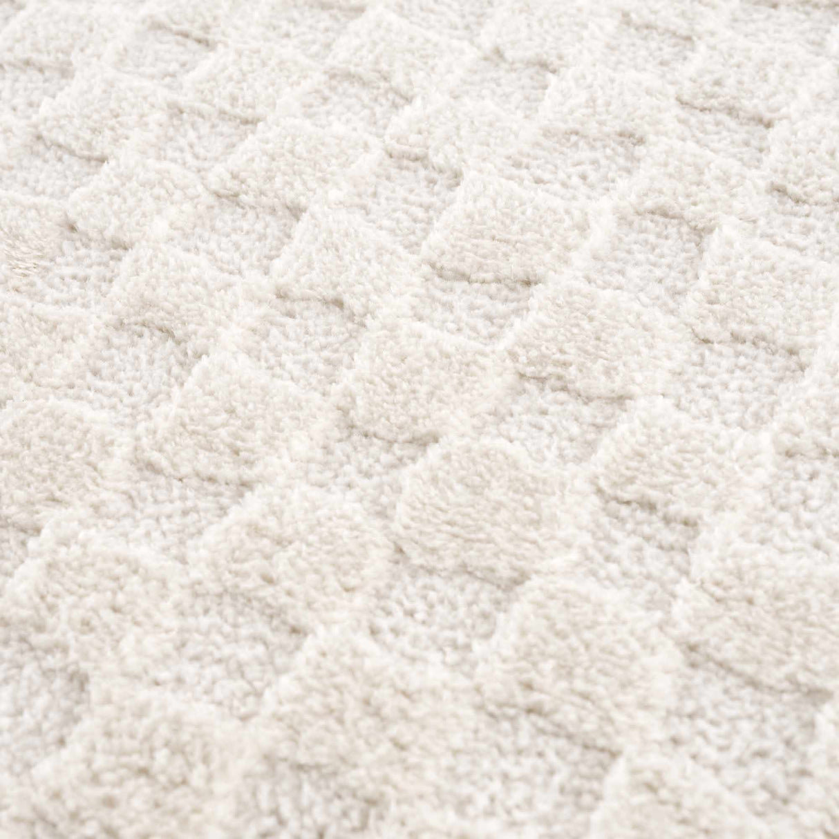 Leryn Ivory Checkered Area Rug