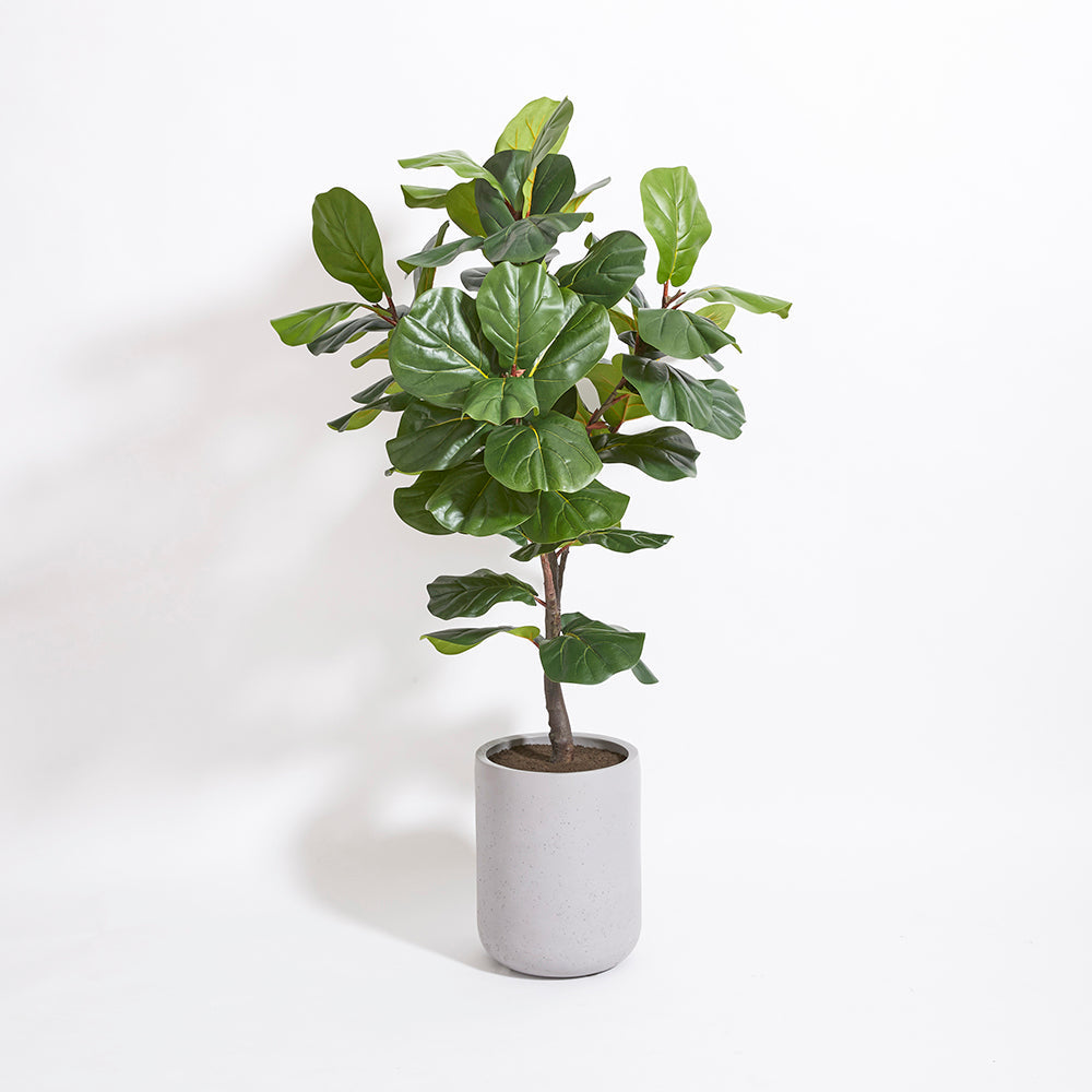 Artificial Fiddle Leaf Fig Tree with Artisan Planter