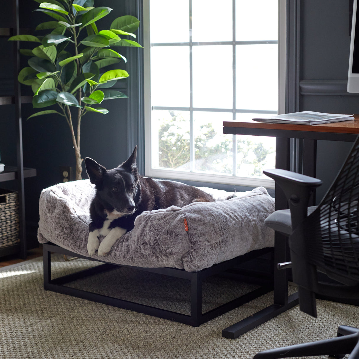 The FÜZI Elevated Dog Bed
