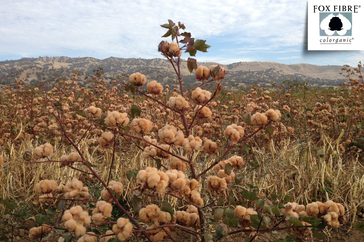 Natural Colored Cotton Bed Sheet Set