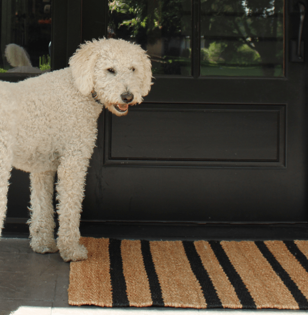 Natural and Black Striped Jute Rug